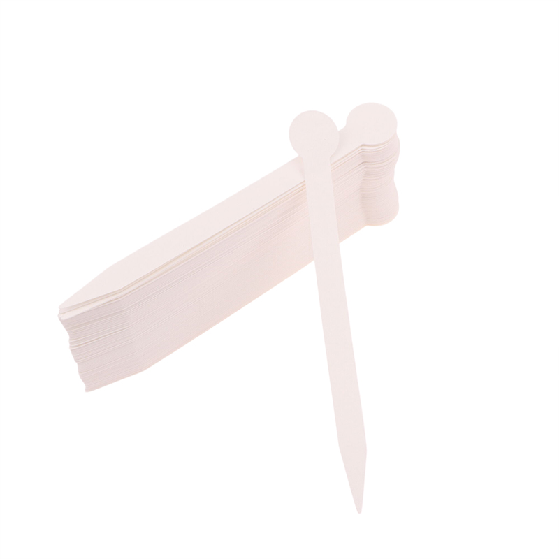 100개 향수 테스트 스트립 향기 테스트 스트립 에센셜 - Perfume Fragrance Tester 리뷰 및 가격