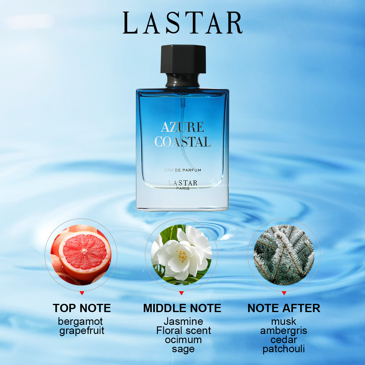 라스타 남성 향수, 2병 총 100ml/3.38fl.o - Perfume Fragrance Samples 리뷰 및 가격