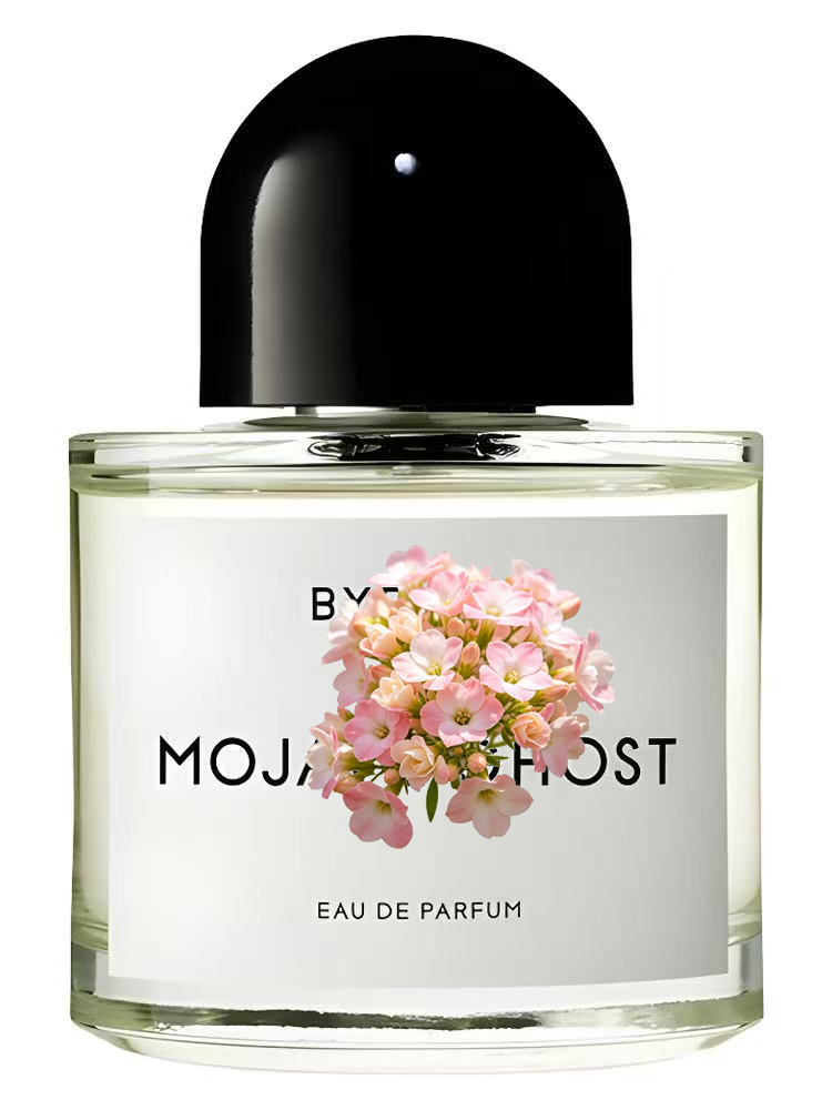 모하비(MOJAVE) 향수, 현재 품절. 남녀 공용,  - Perfume Fragrance Couture 리뷰 및 가격