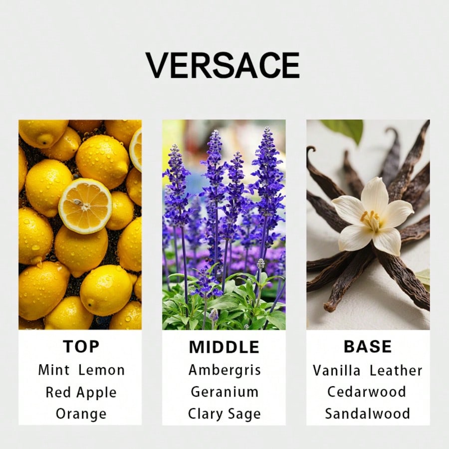 베르사체 에로스 남성용 오 드 퍼퓸 스프레이 100ml - Perfume The Fragrance 리뷰 및 가격